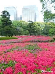 Ninomaru Garden