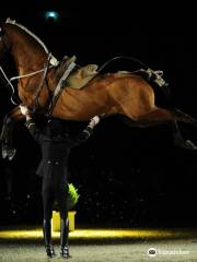 Saumur Riding Academy