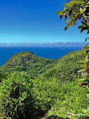 Mission Lodge Lookout