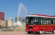 Chicago Trolley & Double Decker Co