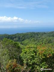 Mt. Bandilaan National Park