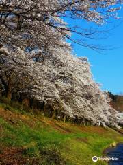 釜の淵公園