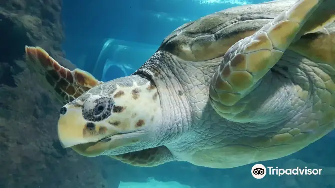 1_Lanzarote Aquarium