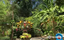 Big Bee Farm Phuket (บิ๊กบีฟาร์ม ภูเก็ต)