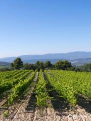 Chateau La Coste en Provence