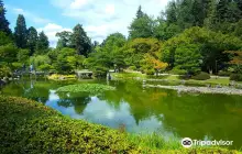 Seattle Japanese Garden