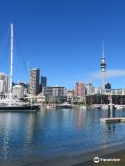 36 America's Cup Village