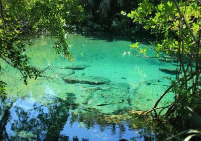 Reserva Ecologica Ojos Indigenas (Los Ojos Eco Journey)