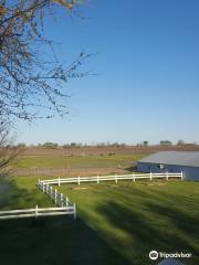 Yaya's Alpaca Farm