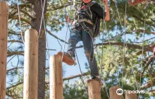 Tahoe Treetop Adventure Parks