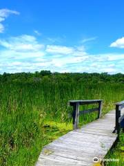 Moraine Hills State Park