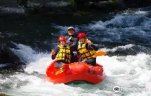 Tama River Rafting | Forest & Water Okutama