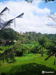 Puri Agung Karangasem