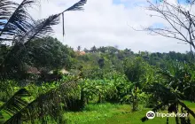 Puri Agung Karangasem