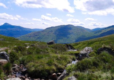 Arrochar