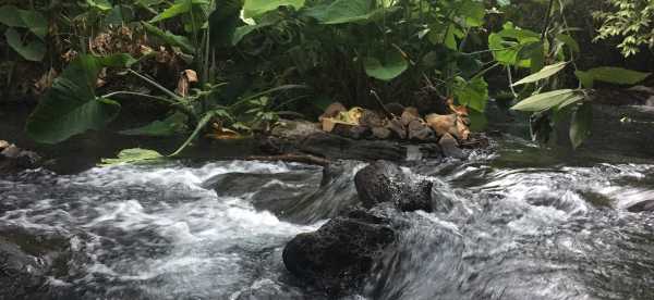 Homestays in Michoacan, Mexico