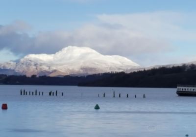 TreeZone Loch Lomond