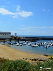 Port of Trévignon