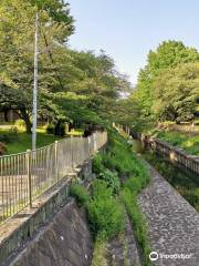 善福寺川緑地