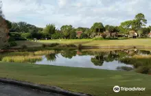 Grand Cypress Golf