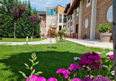 Nurellari Winery Cellar and Guest House