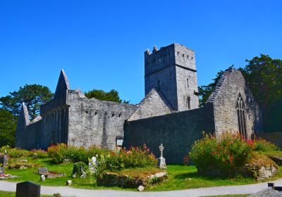 Muckross Abbey