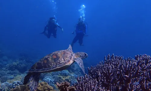 Scuba Diving in Guam