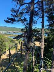 Adrenalin Forest Wellington