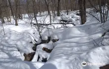 High Point Cross Country Ski Center