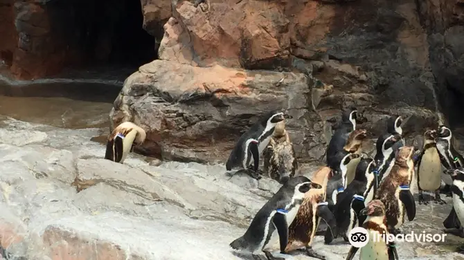 2_アクアワールド茨城県大洗水族館