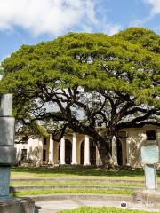 Hawaii State Library