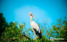 Thung Nham Bird Park