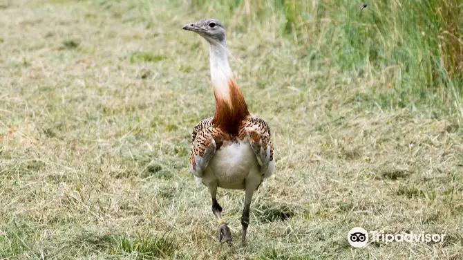 3_Watatunga Wildlife Reserve