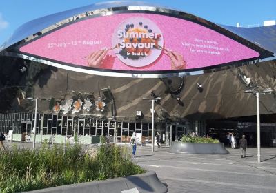 Birmingham New Street Railway Station