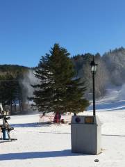 Ski Martock