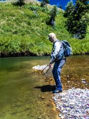 Jackson Hole Fly Fishing School