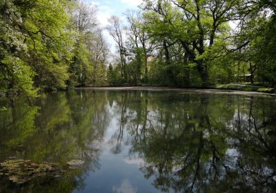 Sarvar Arboretum