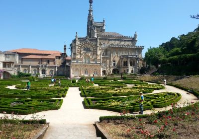 Bussaco Palace Hotel