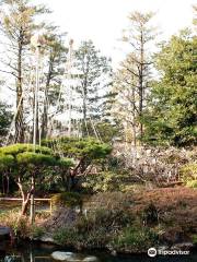 Ikegami Plum Garden