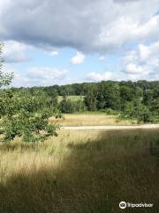 Barfusspark Lüneburger Heide