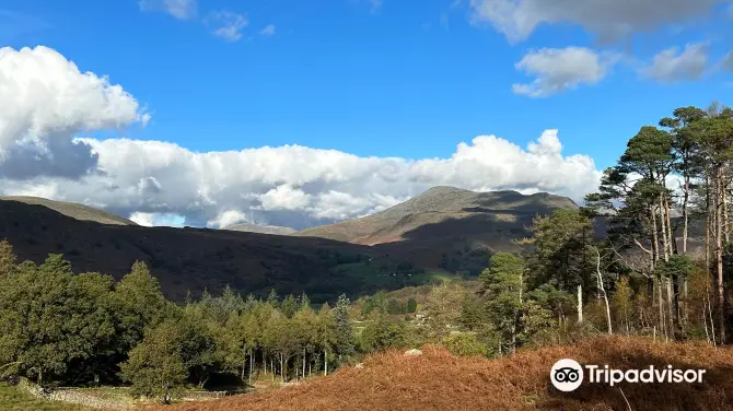 1_Stanley Ghyll Waterfall