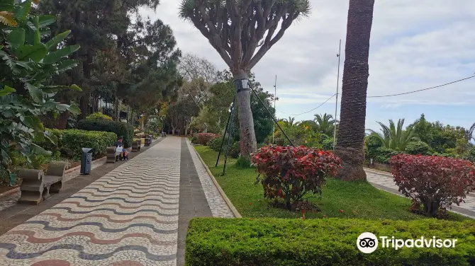 4_Parque Municipal de Arucas