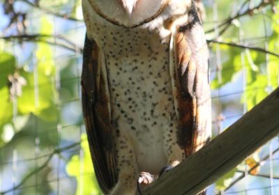 CARACAL Biodiversity Center