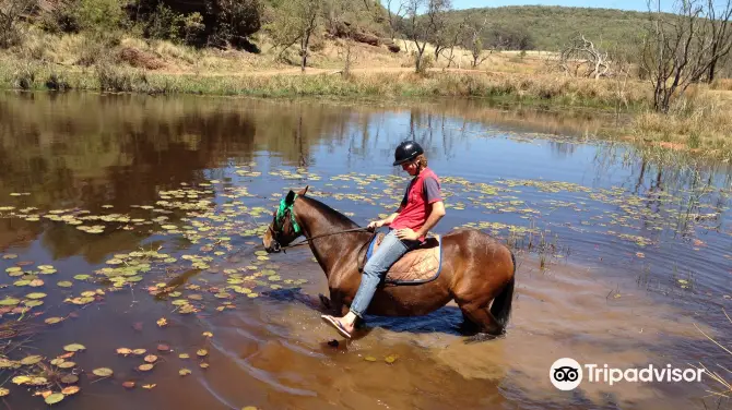 3_Horseback Africa