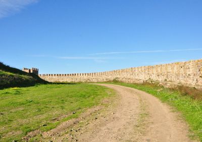 Castle of Arraiolos