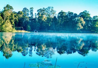 Kodaikanal Lake