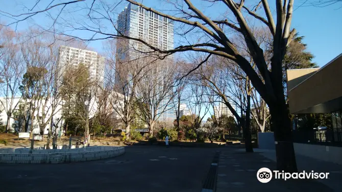 3_Toyama Park (Okubo Area)