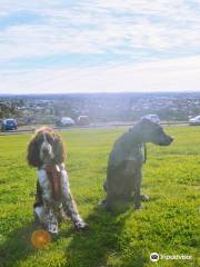 Mount Cooper Lookout