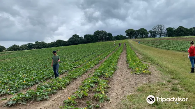 4_Parkside Farm Pick Your Own