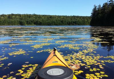 Parque nacional Fundy